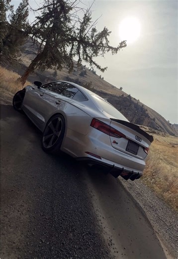 Experience the Audi S5: Performance and Luxury Combined