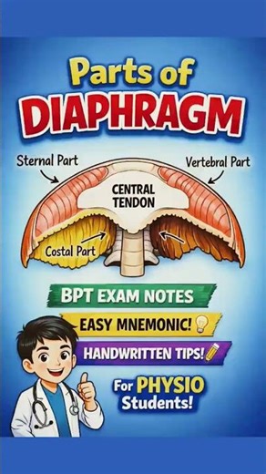 Parts of Diaphragm in 30 Seconds 🔥 | BPT Anatomy