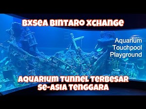 BXSEA BINTARO EXCHANGE AQUARIUM TUNNEL TERBESAR SE-ASIA TENGGARA | FULL REVIEW AQUARIUM