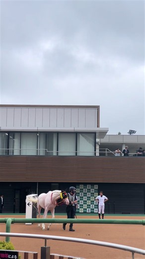 ジャジャミン暴走で木幡育也騎手落馬｜地下通路からの事故報告