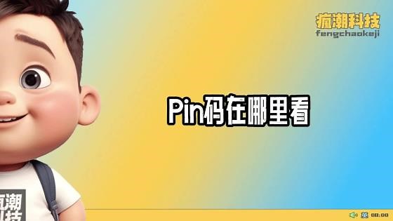 Pin码在哪里看