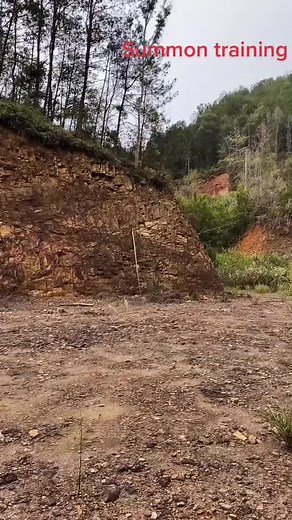 Daidali Dai (@daidalidai)’s videos with original sound - Daidali Dai