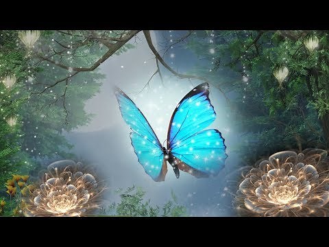 Peaceful Music, Relaxing Music, Instrumental Music, Celtic Music "Magical Forest" "