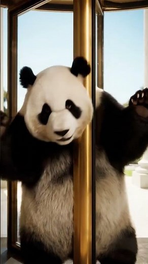 Panda in Washington Gets Stuck in Revolving Door | Funny Animal Fails | Nebula Shots