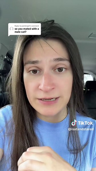 Raising My Son Who Identifies as a Cat