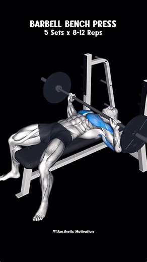 Muscle-Building Chest Workout Plan #workout #chestworkout