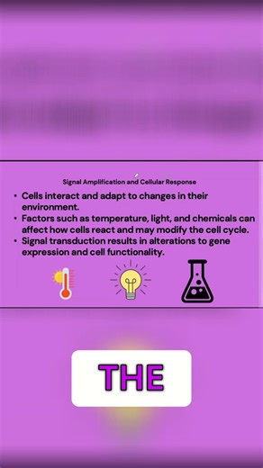 Signal Amplification: Cell Signaling Explained Simply