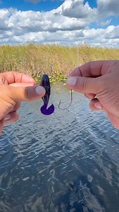 31K views · 502 reactions | How to rig the Mutant Toad with a cyclone hook. If you love the topwater blowup then you gotta get your self pack of my toadsthey are available in my shop卵亂 #urbanfloridafishing #floridafishing #fishingvideos #bassfishing #mutanttoad #fishing #canalfishing | Urban Florida Fishing | Facebook