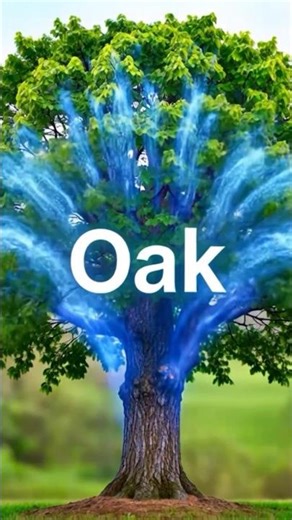 The History of Java in 60 Second | From Oak to Android 🚀 | Java Programming Story#viral #viralvideo