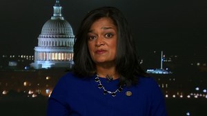 Lawmaker arrested during Trump protest