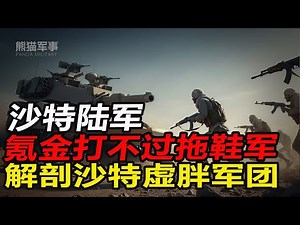 揭秘中东最强“氪金玩家”：沙特军队为何连也门胡塞都打不过？#熊猫军事