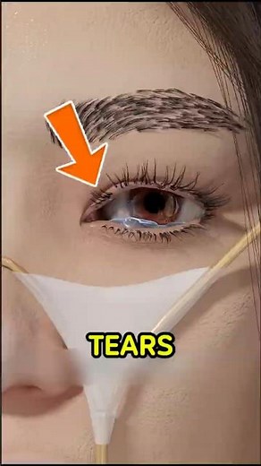Your Eyes Are Crying Right Now... And You Don't Even Know It!