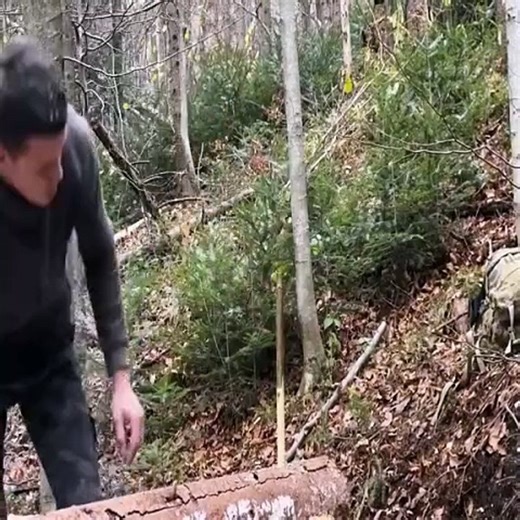 Building an Unbelievable Wilderness Sanctuary | Ultimate Survival Shelter