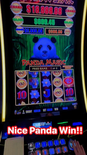 36K views · 209 reactions | Nice Panda Win! $30 bet! #slots #jackpot #dragonlink #bonus #casino #foxwoods #gambling | Slots & Shots | Facebook
