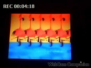 Opening to Toy Story 2 2000 VHS.wmv