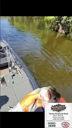 Catching on Caddo
