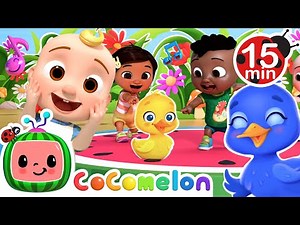 [15 MIN LOOP ] Duck Hide and Seek Dance! 🐥🎶 | Dance Party | CoComelon Nursery Rhymes & Kids Songs