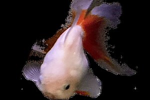 pain. - Free Addicting Game ★★★★★