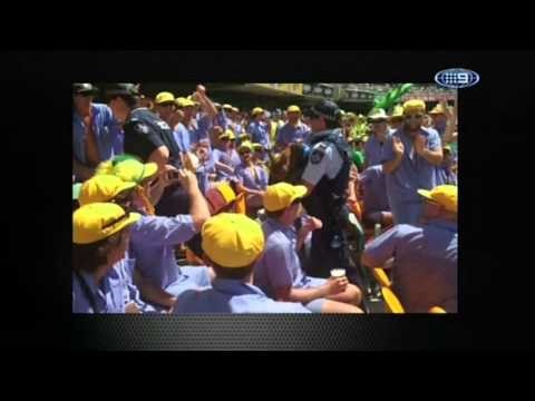 Flying-insect infestation stops Cricket World Cup match