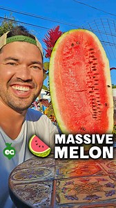 Watermelon WIN! 🤯 This Charleston Gray from @botanicalinterests is bigger than my head. Juicy, sweet, and field-warm perfection — this was totally worth the wait. Want to grow your own giant? 🍉 Give yourself lots of time - Charleston Gray takes 85-100 warm days to mature! 🍉 Don’t try to harvest early; watermelons don’t ripen after harvest. 🍉 Watch for signs like browned tendrils and a nice field spot to indicate readiness. 🍉 Pick it up & give it a thump! Ripe watermelons have a deep, hollow