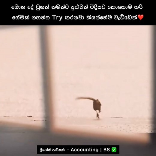 1M views · 28K reactions | ✅❤️ | Dinesh Harshana - Accounting & Business Studies | Facebook
