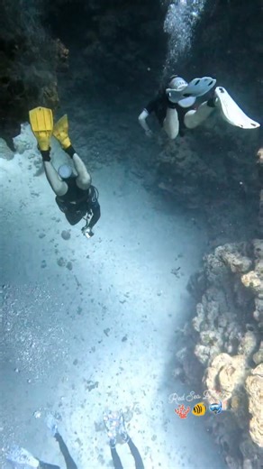 19K views · 231 reactions | Descending into the depths of Dahab’s legendary Canyon—a hidden world where sunlight dances through cracks and shadows reveal secrets. Every dive here is an adventure, weaving through towering walls and surreal tunnels. Who’s ready to take the plunge? ✨ #scubaDiving #redseadiving #divedeep #scubaaddict #deepdive | Red Sea Diving | Facebook