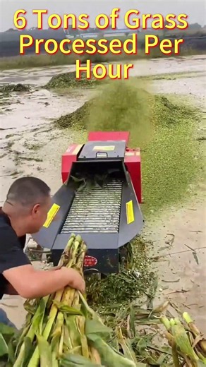 Heavy Duty Chaff Cutter Machine in Action#chaffcutter #farmequipment #farming #agriculture #feed
