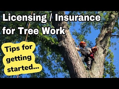An Intro to Licensing / Insurance For Your Tree Service Business