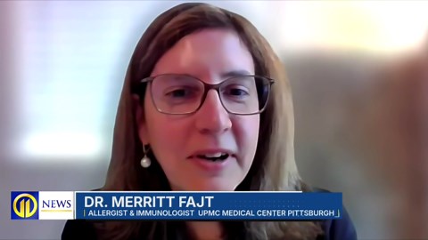 How Pittsburgh’s wet spring is impacting fall allergy season