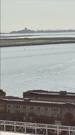 Harbor water with a boat leaving a visible white wake trail near the #Shorts