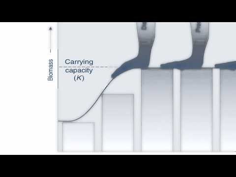 Population - video1 - Global population and carrying capacity