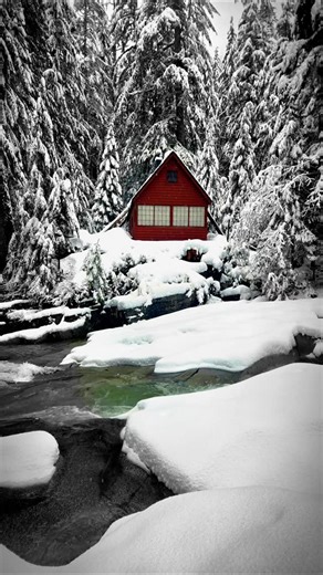 Franklin Falls which is the Middle Fork Snoqualmie River takes you on a journey in the winter down a three mile road and through a wooded trails for almost a mile to reach the grandeur that is your destination. It's one of our snowshoe treks that we'll do twice every year. #tenderfootadventures #travel #trail #snowshoe #snowshoeing | Tenderfoot Adventures
