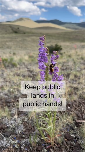 Smokey the Girl | Public Lands Writer & Film Photographer on Instagram: "While the government has been shutdown the Bureau of Land Management has issued over 600 new oil & gas lease permits. The BLM is attempting to steal 245 million acres of public land from me and from you and sell it oil and gas companies. They want to rescind the Public Lands Rule which was made to safeguard these 245 million acres for conservation and restoration of habitats and ecosystems. Today is the last day for you to 