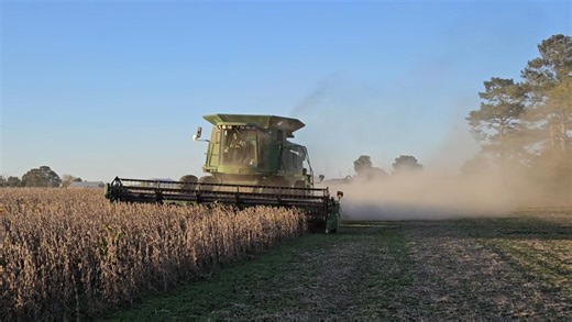 A very dry and dusty soybean harvest! | Miller Farms