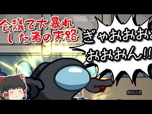 【視聴者さんとMOD入りAMONG US #41】会議で大暴れした者の末路 【ゆっくり実況】