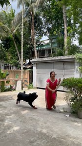 Rottweiler dog angry😡#fbreelsviral | Purni Ray