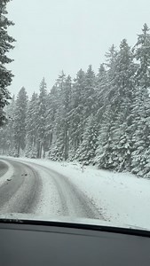 Šumavu zasypal sníh. Na Kvildě se už bobuje. Sledujte předpověď počasí a radar Blesku 👉 https://pocasi.blesk.cz | Blesk.cz