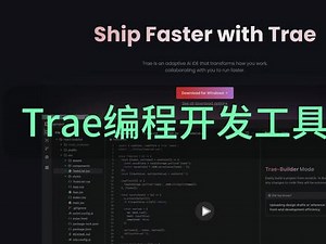 trae如何开发winfom程序