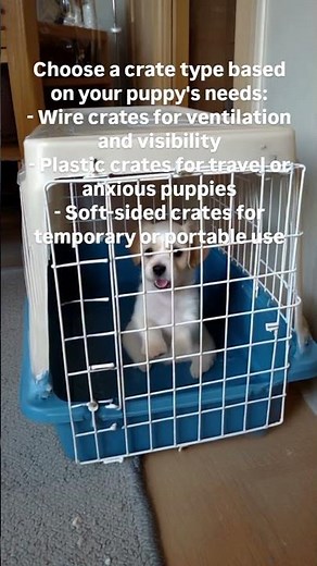 how to choose right crate size and type?