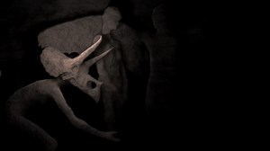 Sculpture 1 - Sediment