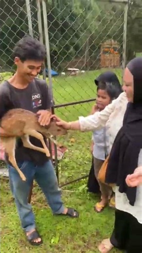Jamila ketemu sama onti ya #fypシ゚viral #animals
