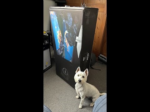 We unbox and set up a Dell U4025QW 5k Dell UltraSharp 40 Curved Thunderbolt Hub Monitor for BlueJay