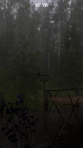 Sourate 17❤️🕋 Verset 21🤲 #alijaber #قران #quranrecitation #quran #muhammad #allah #islamic