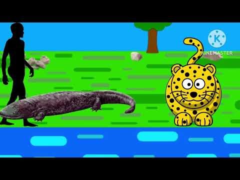 Animal Size Comparison