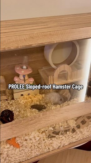 We’re going to launch a sloped roof hamster cage in 40x20x20! It will come in 3 colors!🟠🟤⚪️