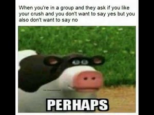 Perhaps meme