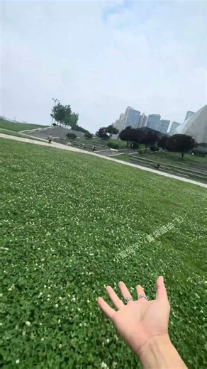 Almost... Sorry #Confusing behaviors of cute pets #Flying squirrel #Sugar glider