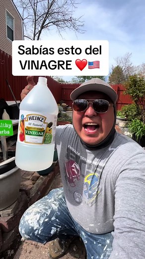 Consejo de vinagre para el cuidado de tu jardín y plantas en verano
