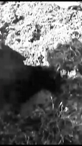 Just when you thought land mines couldn’t get any more terrifying… these anti handling devices are diabolical and also widely misunderstood #wwii #didyouknow #historyfacts #landmine | World War Wisdom