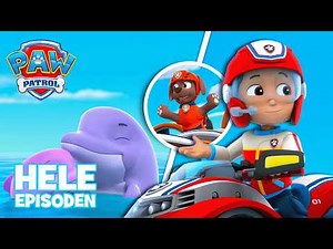 Hvalpe redder en delfinunge 🐬🌊 | Hele Episoden | PAW Patrol | På Dansk